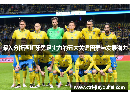 深入分析西班牙男足实力的五大关键因素与发展潜力