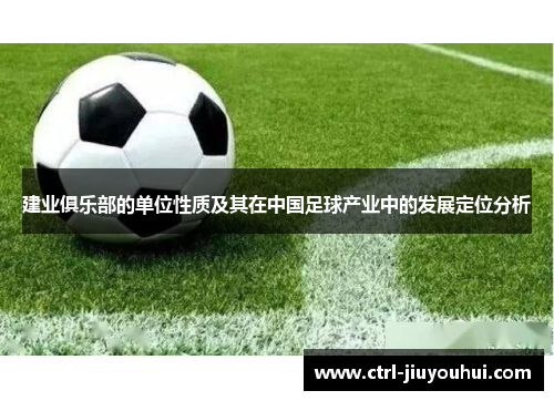 建业俱乐部的单位性质及其在中国足球产业中的发展定位分析 建业俱乐部的单位性质及其在中国足球产业中的发展定位分析