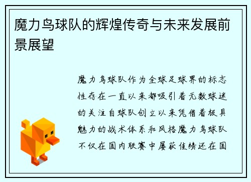 魔力鸟球队的辉煌传奇与未来发展前景展望